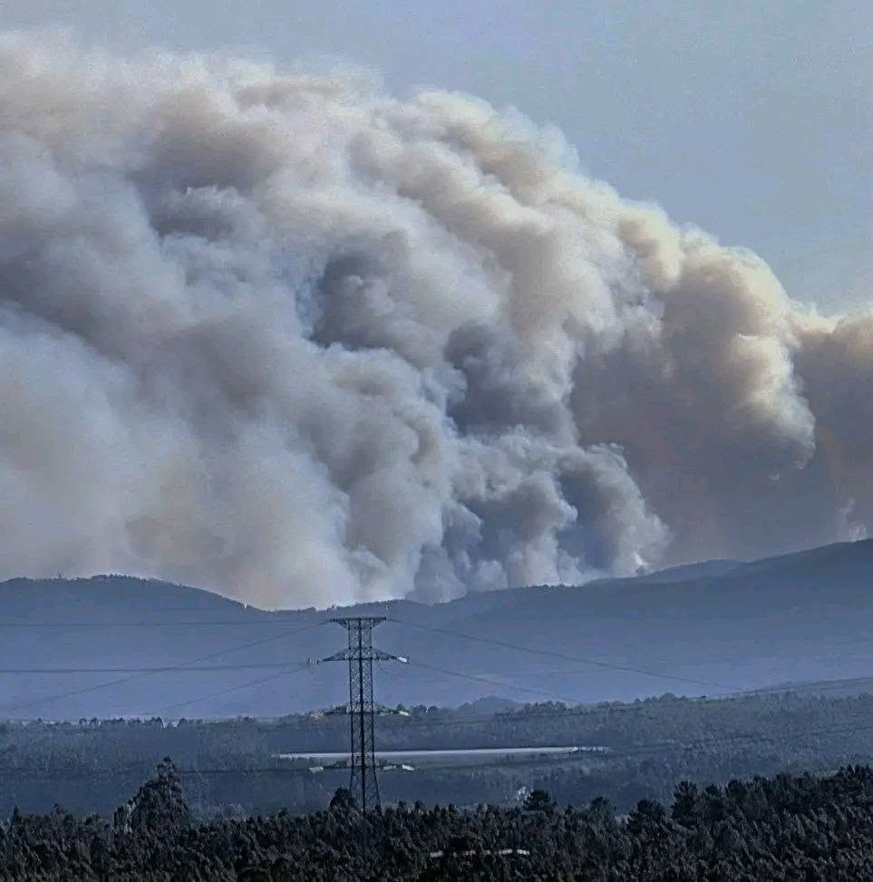 Εννέα τραυματίες από τις μεγάλες δασικές πυρκαγιές στην Πορτογαλία – Ζητήθηκαν διεθνείς ενισχύσεις