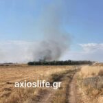 Πυρκαγιά σε χαμηλή βλάστηση στον Βαθύλακκο Θεσσαλονίκης