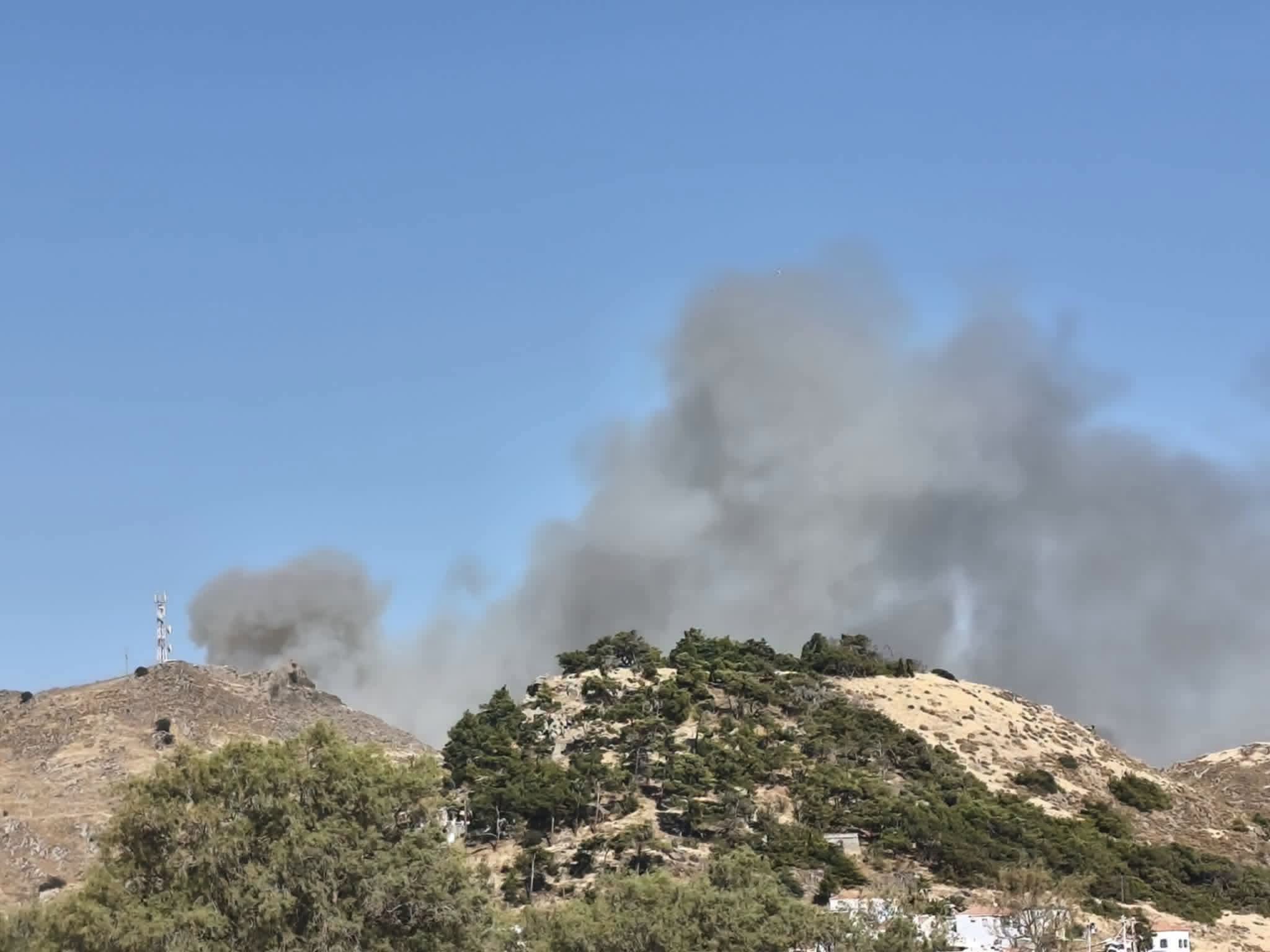 Πυρκαγιά σε χαμηλή βλάστηση στην Ερεσό Λέσβου Πυρκαγιά σε χαμηλή βλάστηση στην Ερεσό Λέσβου