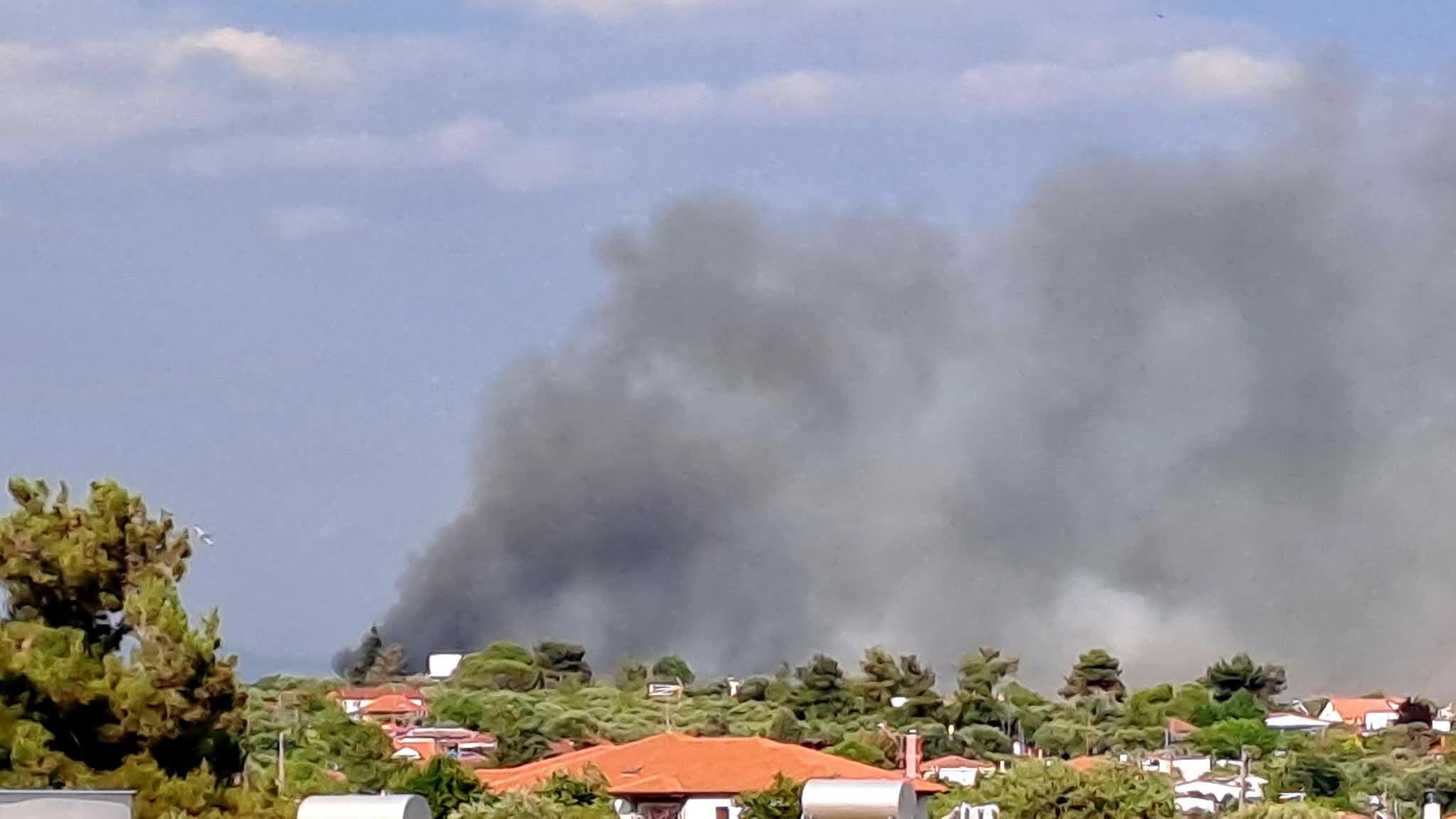 Πυρκαγιά σε δασική έκταση στη Νέα Καλλικράτεια Χαλκιδικής Πυρκαγιά σε δασική έκταση στη Νέα Καλλικράτεια Χαλκιδικής