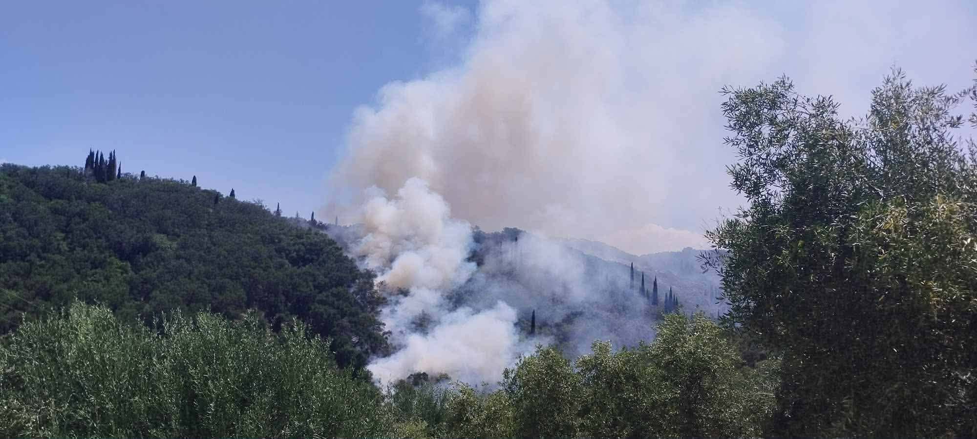 Πυρκαγιά σε αγροτοδασική έκταση στα Βασιλικά Κέρκυρας