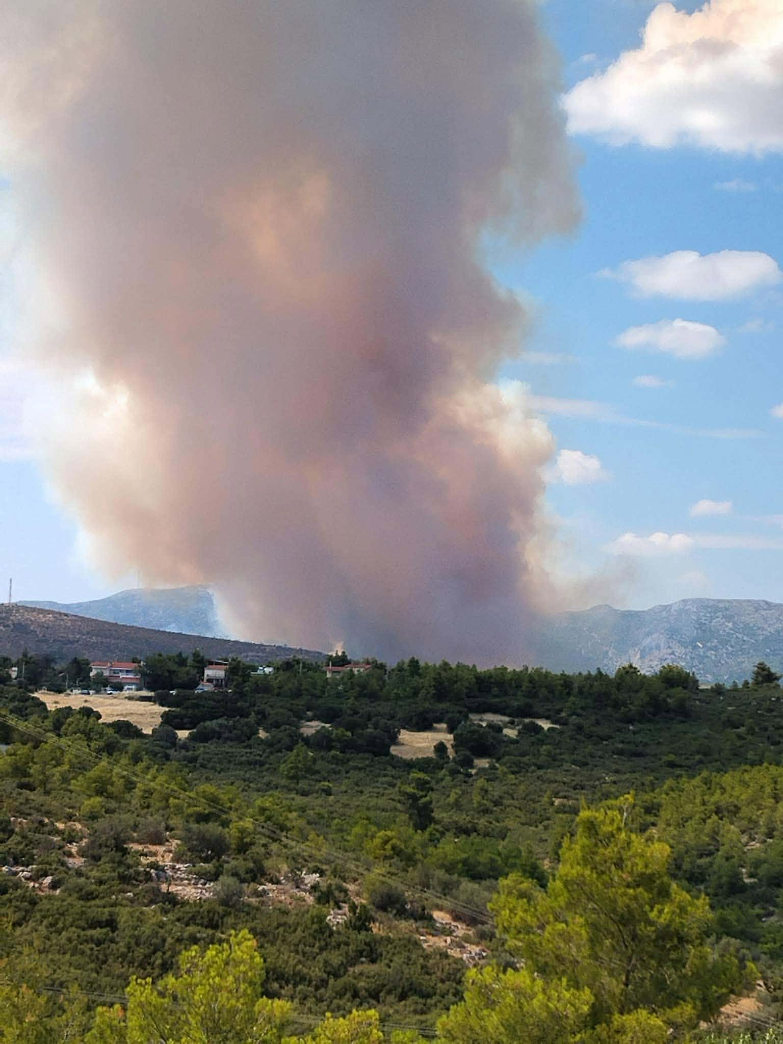 Πυρκαγιά σε αγροτοδασική έκταση στην Οινόη Αττικής