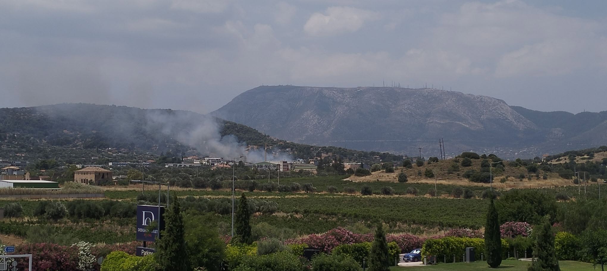 Πυρκαγιά σε δασική έκταση πλησίον Λεωφόρου Σπατών στα Σπάτα