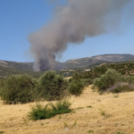 Πυρκαγιά σε δασική έκταση στην περιοχή Αγία Ελένη Τροιζηνίας