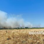 Πυρκαγιά σε χαμηλή βλάστηση στα Κουφάλια Θεσσαλονίκης
