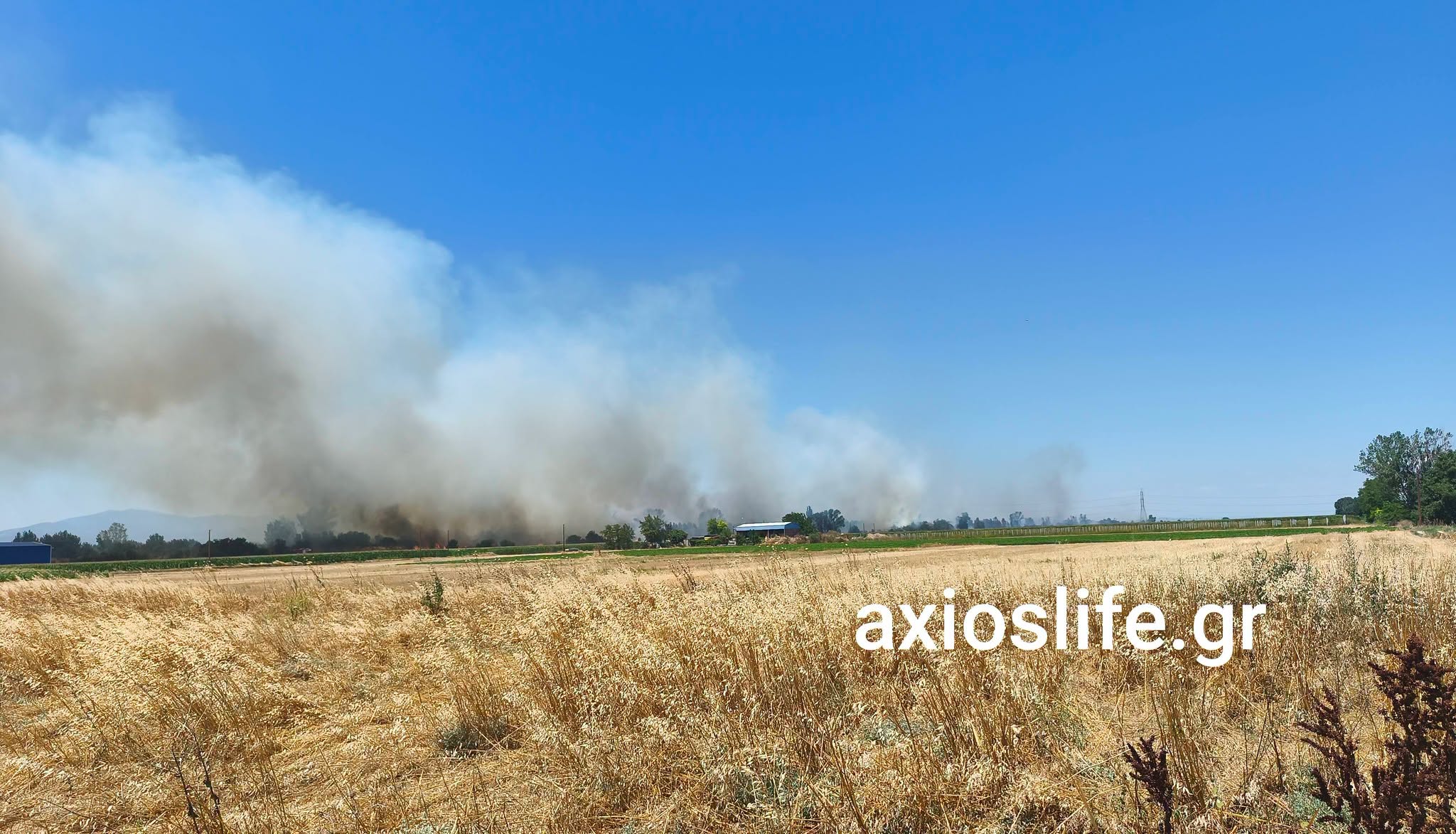 Πυρκαγιά σε χαμηλή βλάστηση στα Κουφάλια Θεσσαλονίκης