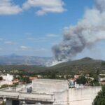 Πυρκαγιά σε αγροτοδασική έκταση στην Οινόη Αττικής