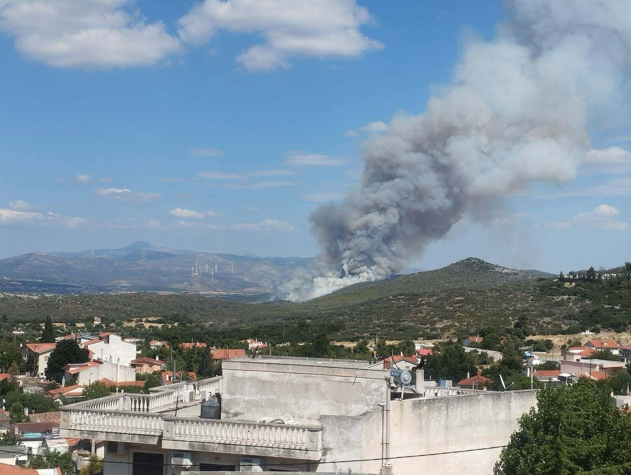 Πυρκαγιά σε αγροτοδασική έκταση στην Οινόη Αττικής Πυρκαγιά σε αγροτοδασική έκταση στην Οινόη Αττικής