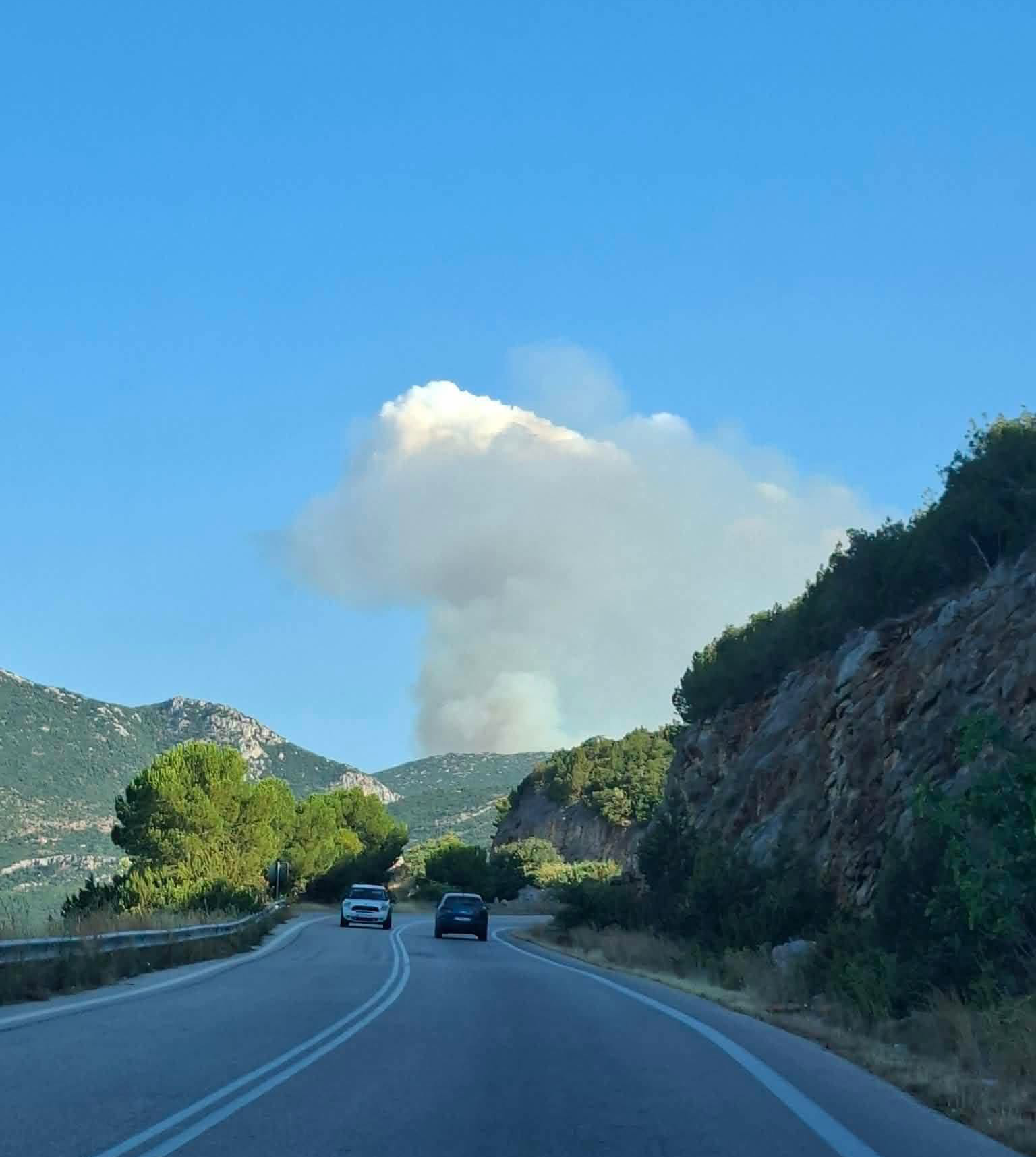 Ενισχύθηκαν οι δυνάμεις στην δασική πυρκαγιά της Αγίας Ελένης Τροιζηνίας Ενισχύθηκαν οι δυνάμεις στην δασική πυρκαγιά της Αγίας Ελένης Τροιζηνίας