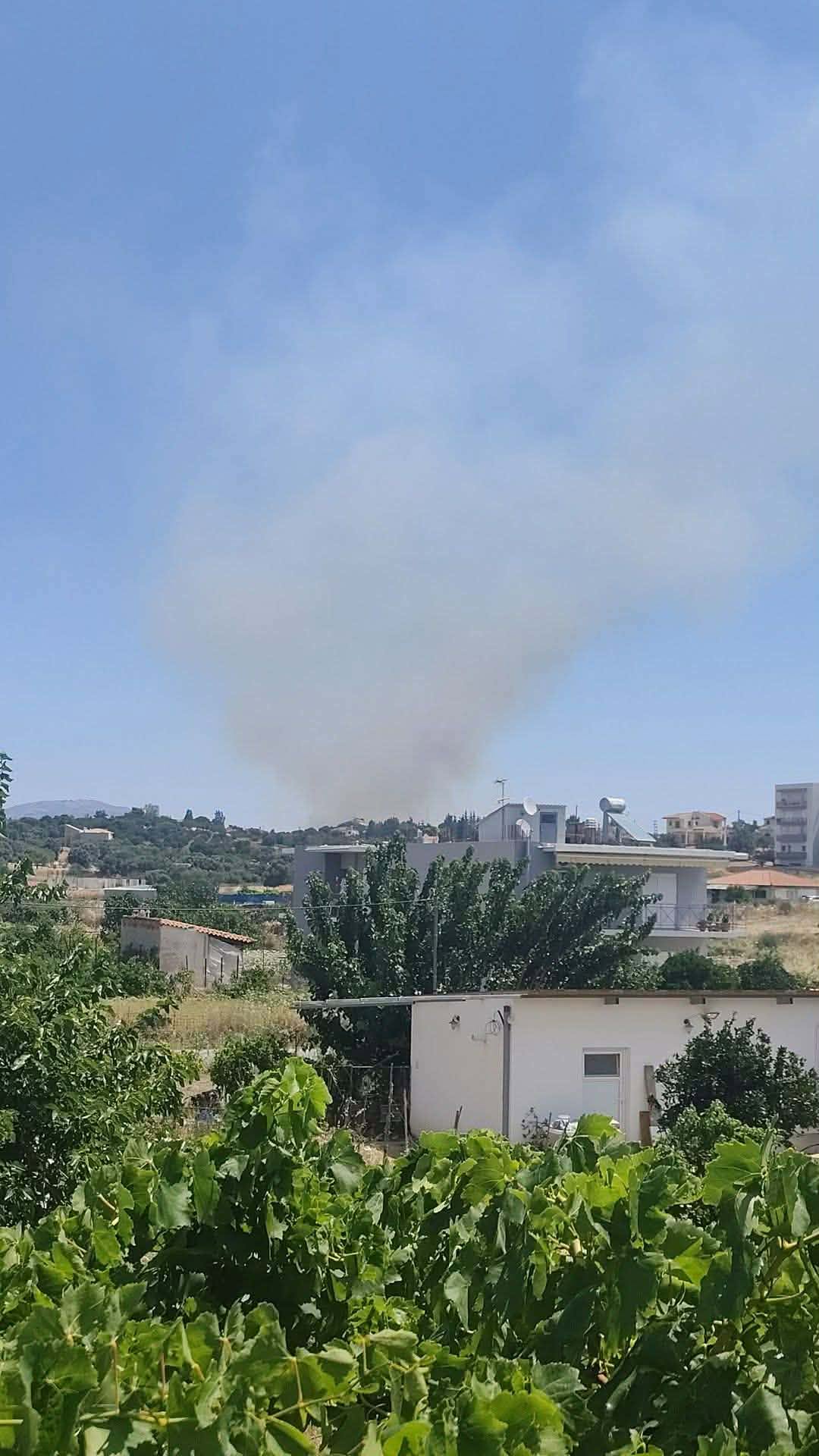 Πυρκαγιά σε αγροτοδασική έκταση στην περιοχή Λάτας Ευβοίας Πυρκαγιά σε αγροτοδασική έκταση στην περιοχή Λάτας Ευβοίας