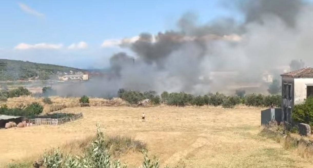 Πυρκαγιά σε χαμηλή βλάστηση στην Σκάλα Παμφιλων στην Μυτιλήνη Πυρκαγιά σε χαμηλή βλάστηση στην Σκάλα Παμφιλων στην Μυτιλήνη
