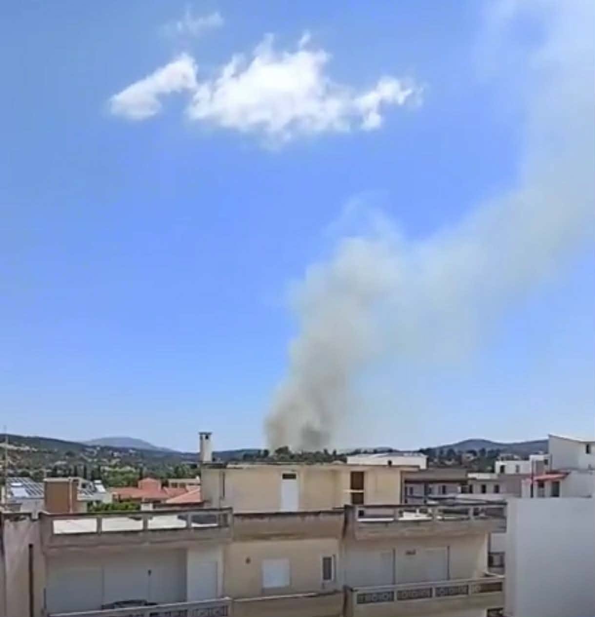 Πυρκαγιά σε αγροτοδασική έκταση στην περιοχή Λάτας Ευβοίας