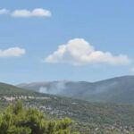 Πυρκαγιά σε δασική έκταση στην Αγία Παρασκευή Βιλίων