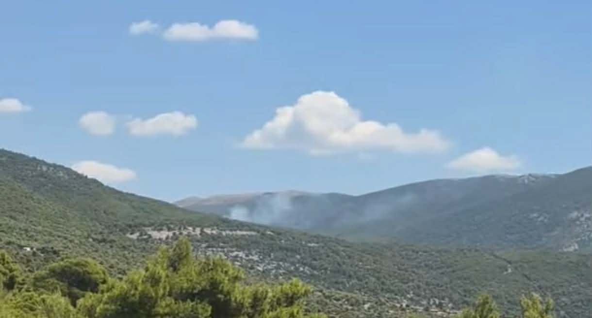 Πυρκαγιά σε δασική έκταση στην Αγία Παρασκευή Βιλίων Πυρκαγιά σε δασική έκταση στην Αγία Παρασκευή Βιλίων