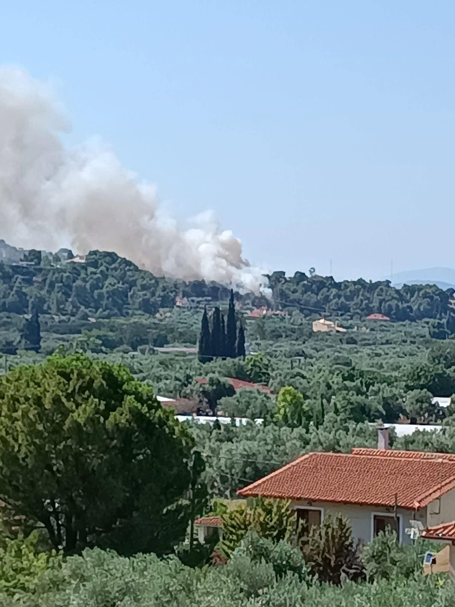 Πυρκαγιά σε αγροτοδασική έκταση στο Χαλκούτσι Ωρωπού Πυρκαγιά σε αγροτοδασική έκταση στο Χαλκούτσι Ωρωπού