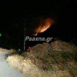 Υπό έλεγχο η πυρκαγιά στην Αμυγδαλέα Καρύστου Ευβοίας