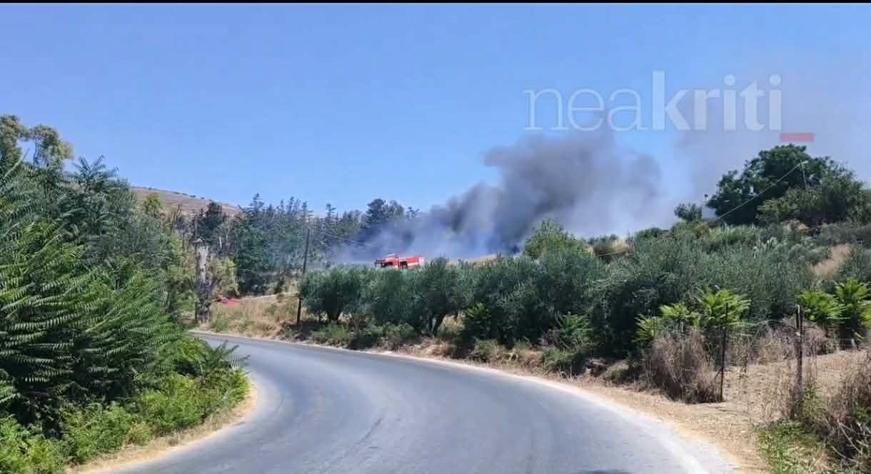 Πυρκαγιά σε χαμηλή βλάστηση στην Κνωσό Ηρακλείου Κρήτης Πυρκαγιά σε χαμηλή βλάστηση στην Κνωσό Ηρακλείου Κρήτης