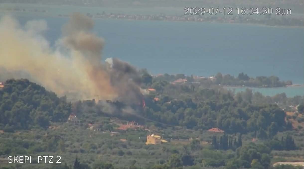 Πυρκαγιά σε αγροτοδασική έκταση στο Χαλκούτσι Ωρωπού Πυρκαγιά σε αγροτοδασική έκταση στο Χαλκούτσι Ωρωπού