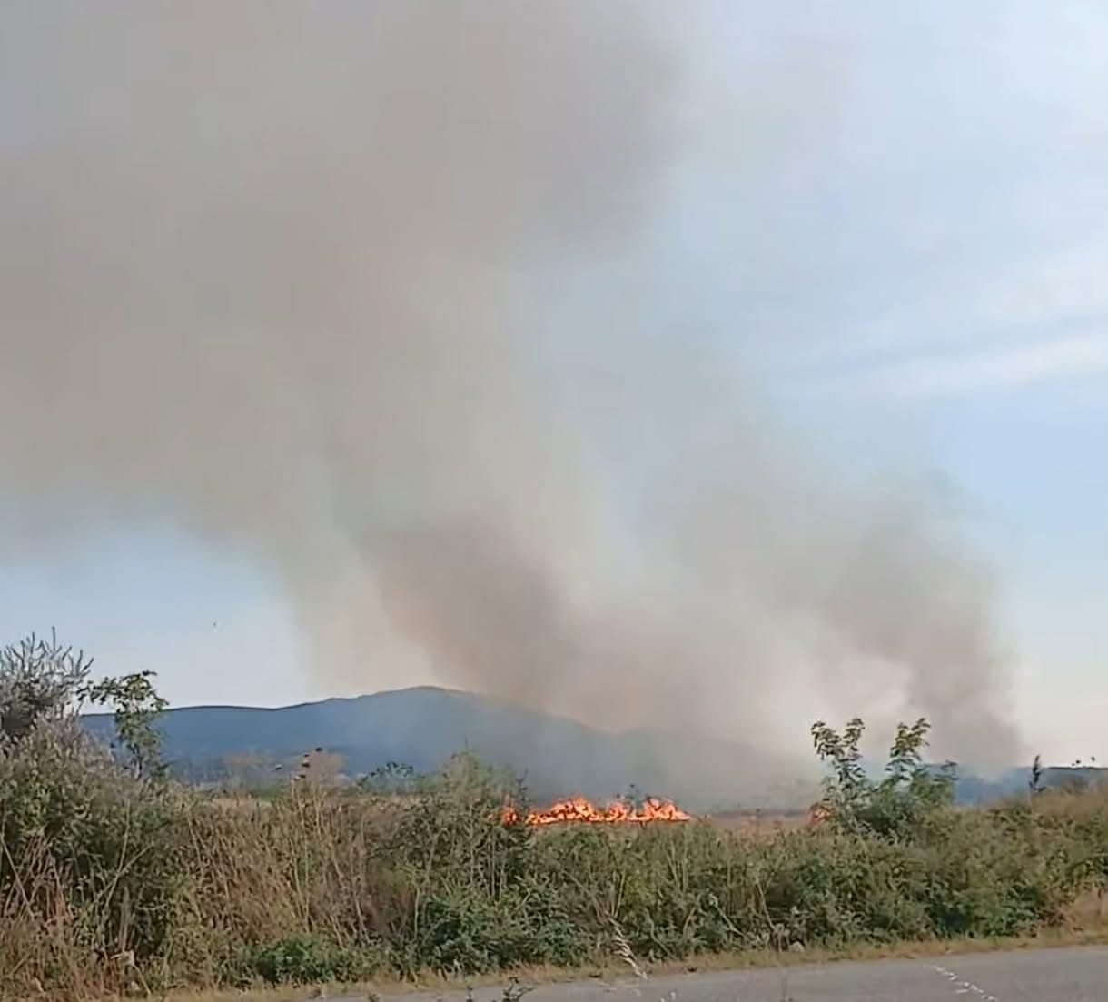 Πυρκαγιά σε αγροτοδασική έκταση στην Εργάνη Ροδόπης Πυρκαγιά σε αγροτοδασική έκταση στην Εργάνη Ροδόπης