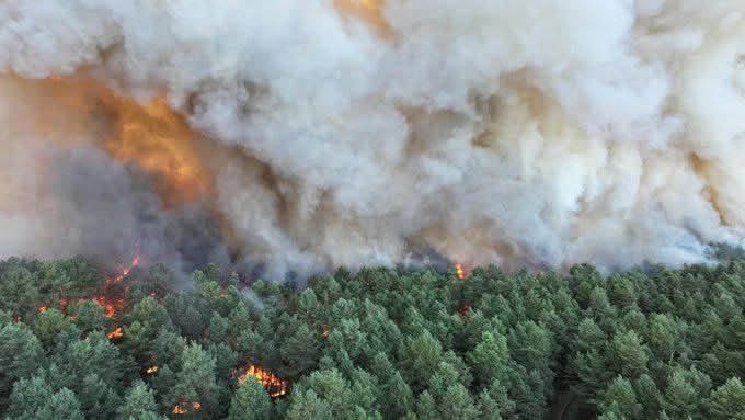 Μεγάλη δασική πυρκαγιά στο δάσος του Φοντενεμπλό έξω από το Παρίσι Μεγάλη δασική πυρκαγιά στο δάσος του Φοντενεμπλό έξω από το Παρίσι