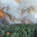 Μεγάλη δασική πυρκαγιά στο δάσος του Φοντενεμπλό έξω από το Παρίσι