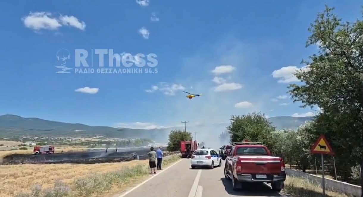 Πυρκαγιά σε χαμηλή βλάστηση στα Βασιλικά Θεσσαλονίκης