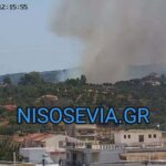 Πυρκαγιά σε αγροτοδασική έκταση στην περιοχή Λάτας Ευβοίας