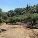 Άμεσα υπό έλεγχο τέθηκε πυρκαγιά σε δασική έκταση στην Κυπαρισσία Μεσσηνίας