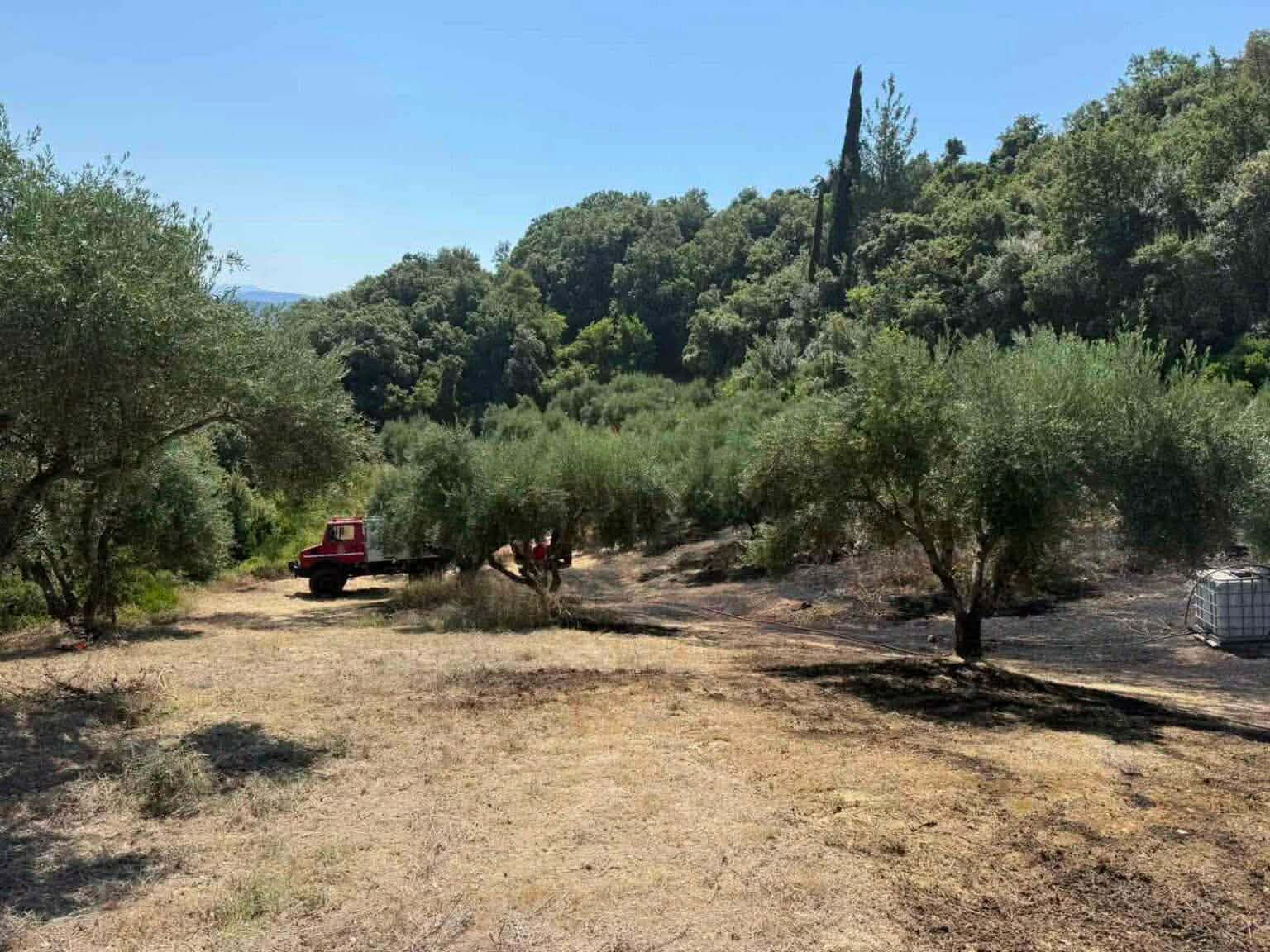 Άμεσα υπό έλεγχο τέθηκε πυρκαγιά σε δασική έκταση στην Κυπαρισσία Μεσσηνίας