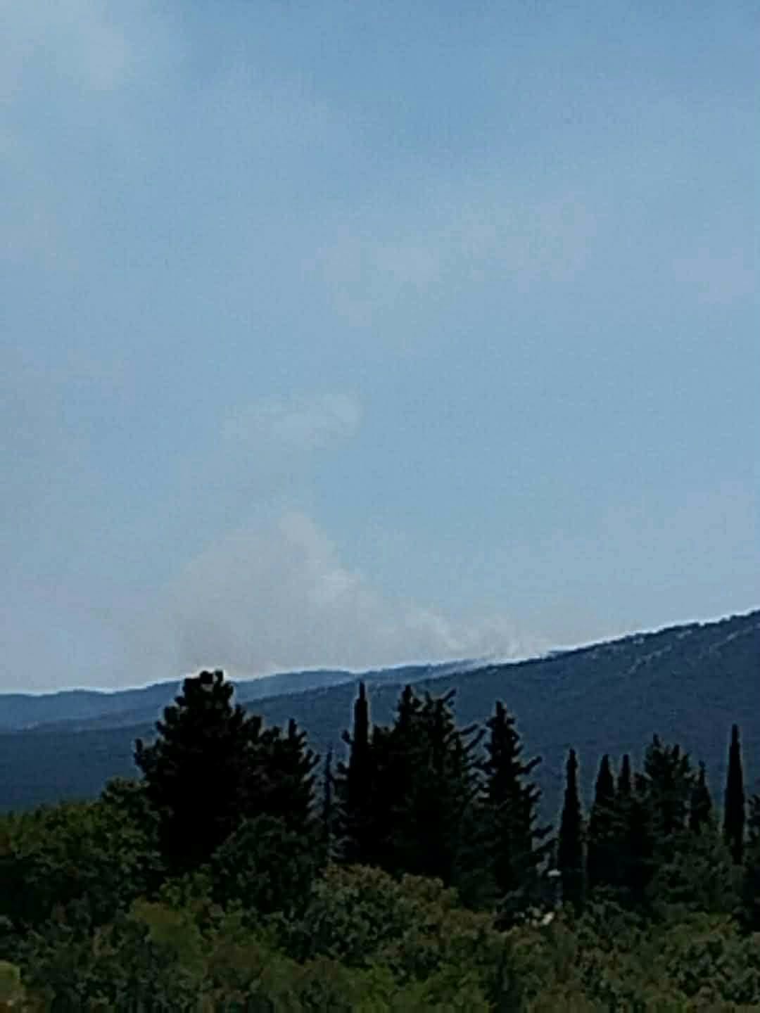 Πυρκαγιά σε αγροτοδασική έκταση στην περιοχή Δελβινάκι Ιωαννίνων Πυρκαγιά σε αγροτοδασική έκταση στην περιοχή Δελβινάκι Ιωαννίνων