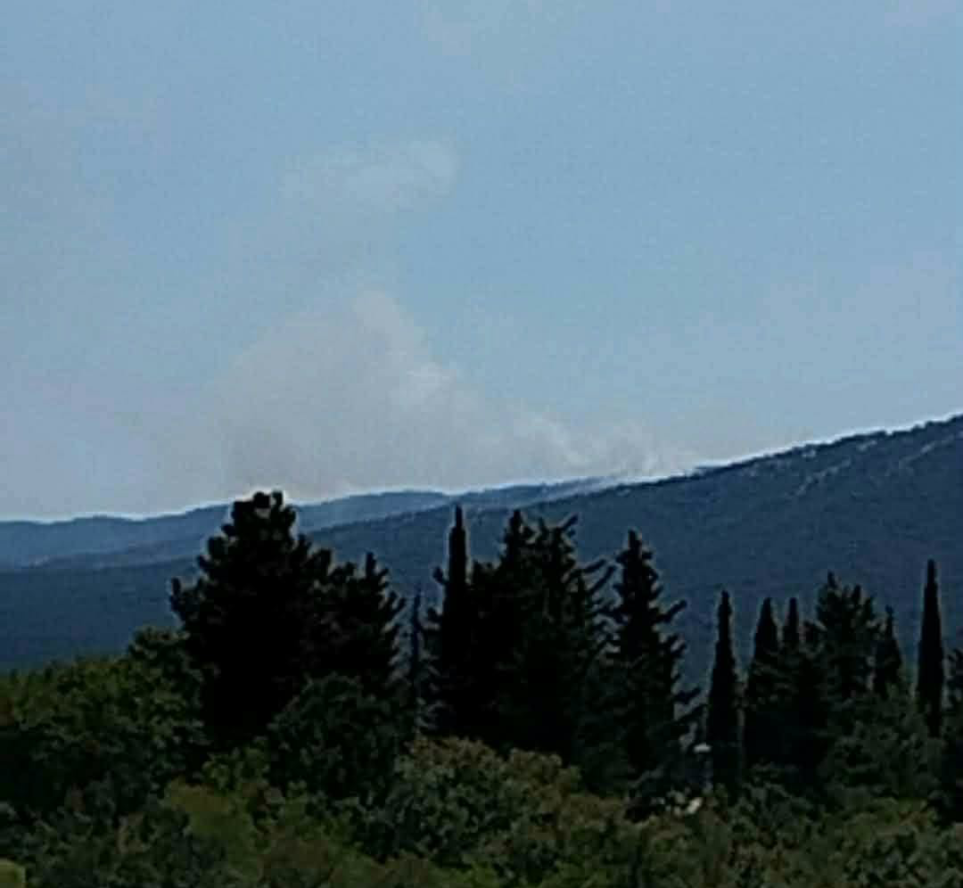 Πυρκαγιά σε αγροτοδασική έκταση στην περιοχή Δελβινάκι Ιωαννίνων