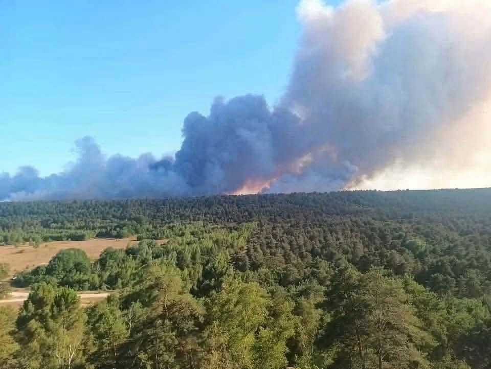 Μεγάλη δασική πυρκαγιά στο δάσος του Φοντενεμπλό έξω από το Παρίσι
