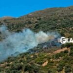 Πυρκαγιά σε δασική έκταση στα Πλοκαμιανά Κισσάμου Χανίων