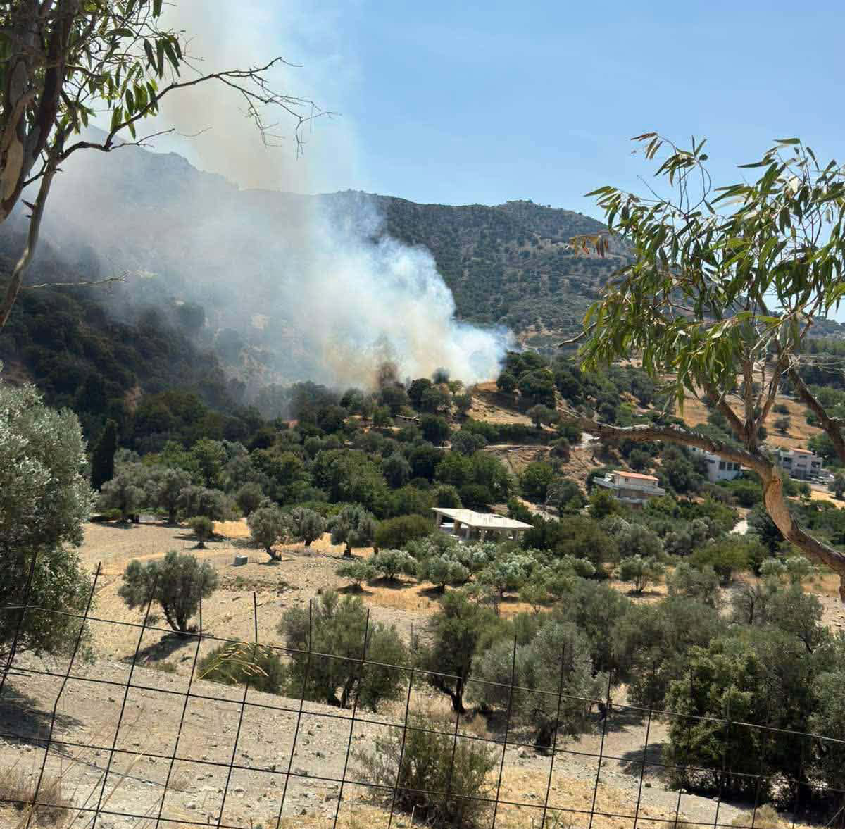 Πυρκαγιά σε αγροτοδασική έκταση στα Βορίζια Ηρακλείου Κρήτης