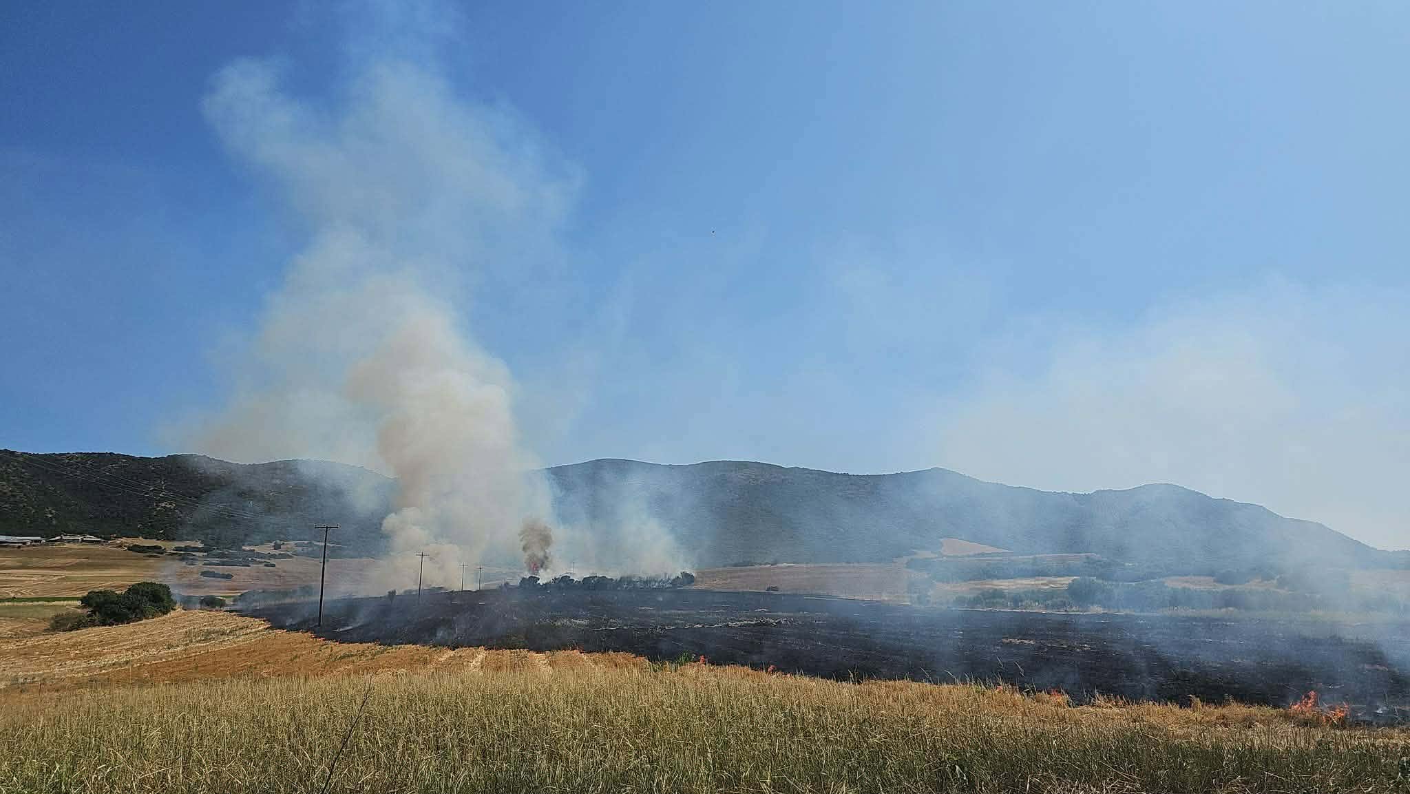 Πυρκαγιά σε χαμηλή βλάστηση στη Γαλάτιστα Χαλκιδικής Πυρκαγιά σε χαμηλή βλάστηση στη Γαλάτιστα Χαλκιδικής