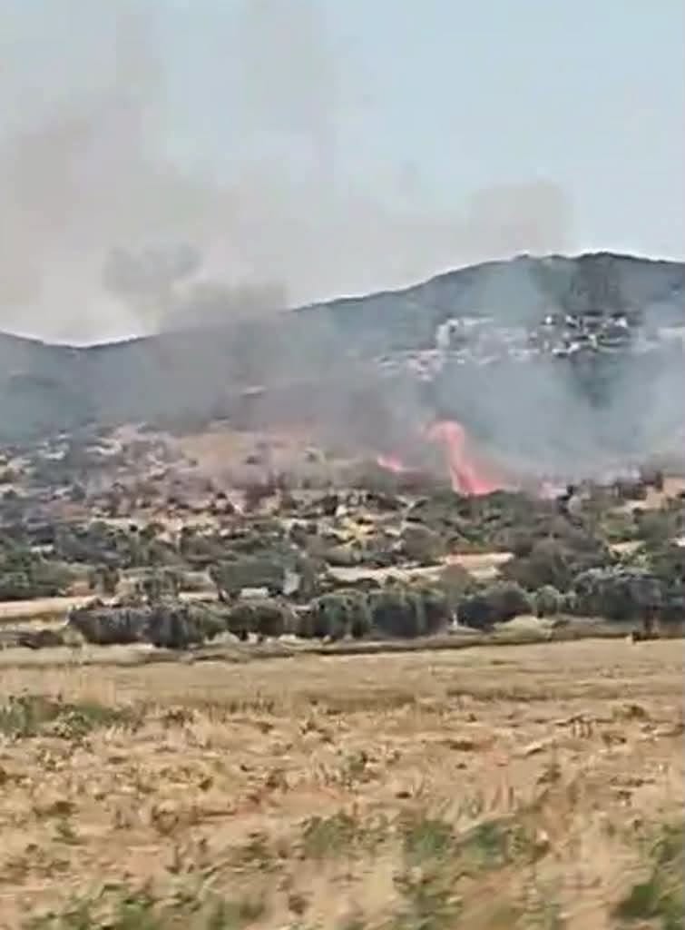 Πυρκαγιά σε αγροτοδασική έκταση στην Εργάνη Ροδόπης Πυρκαγιά σε αγροτοδασική έκταση στην Εργάνη Ροδόπης