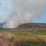 Πυρκαγιά σε χαμηλή βλάστηση στο Παλαιοχώρι Λαμίας