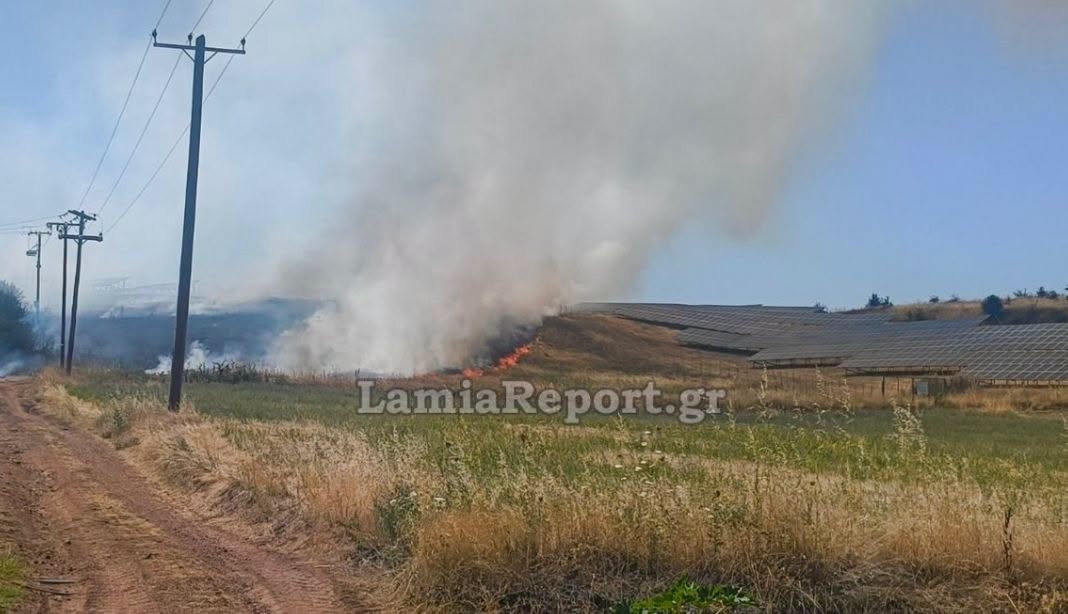 Πυρκαγιά σε χαμηλή βλάστηση στο Παλαιοχώρι Λαμίας Πυρκαγιά σε χαμηλή βλάστηση στο Παλαιοχώρι Λαμίας