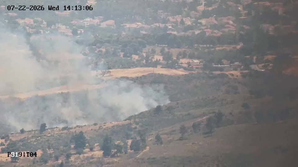 Πυρκαγιά σε χαμηλή βλάστηση στις Αφίδνες Αττικής