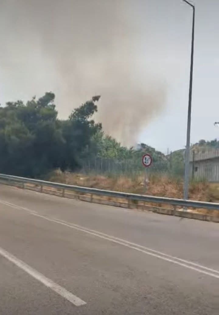 Πυρκαγιά σε χαμηλή βλάστηση στον Άγιο Στέφανο Αττικής Πυρκαγιά σε χαμηλή βλάστηση στον Άγιο Στέφανο Αττικής