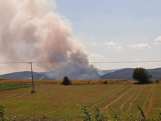 Πυρκαγιά σε αγροτοδασική έκταση στην Πεσσάνη Σουφλίου