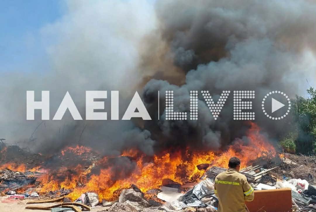 Πυρκαγιά σε χαμηλή βλάστηση στο Βαρθολομιό Ηλείας Πυρκαγιά σε χαμηλή βλάστηση στο Βαρθολομιό Ηλείας