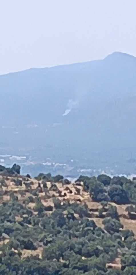 Πυρκαγιά σε αγροτοδασική έκταση στην Παλαιοπαναγιά Σπάρτης Πυρκαγιά σε αγροτοδασική έκταση στην Παλαιοπαναγιά Σπάρτης