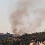 Πυρκαγιά σε αγροτοδασική έκταση στα Πεύκα Θεσσαλονίκης