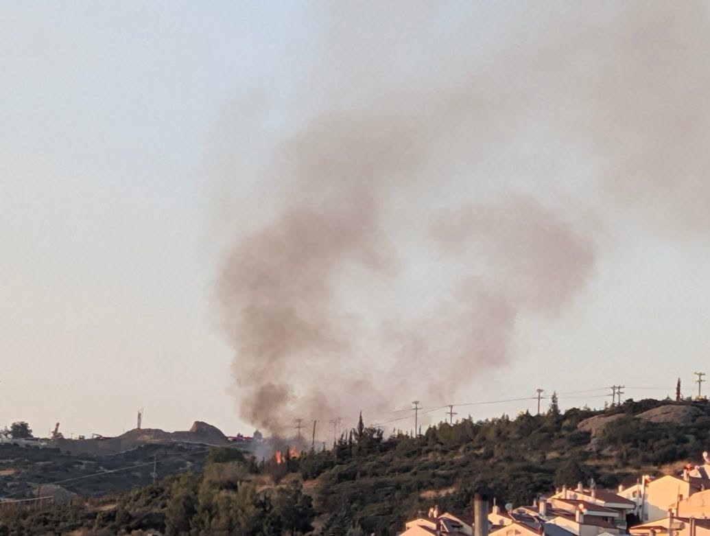 Πυρκαγιά σε αγροτοδασική έκταση στα Πεύκα Θεσσαλονίκης Πυρκαγιά σε αγροτοδασική έκταση στα Πεύκα Θεσσαλονίκης