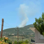 Πυρκαγιά σε δασική έκταση στην περιοχή Βασιλικά Φθιώτιδας