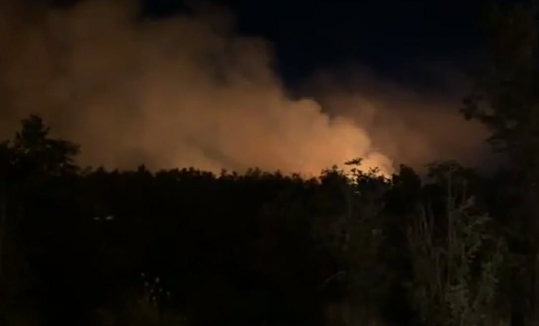 Πυρκαγιά σε δασική έκταση στην περιοχή Φαλαισία Αρκαδίας