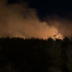 Πυρκαγιά σε δασική έκταση στην Αγία Τριάδα Αρκαδίας