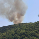 Πυρκαγιά σε δασική έκταση στον Αγερανό Λακωνίας