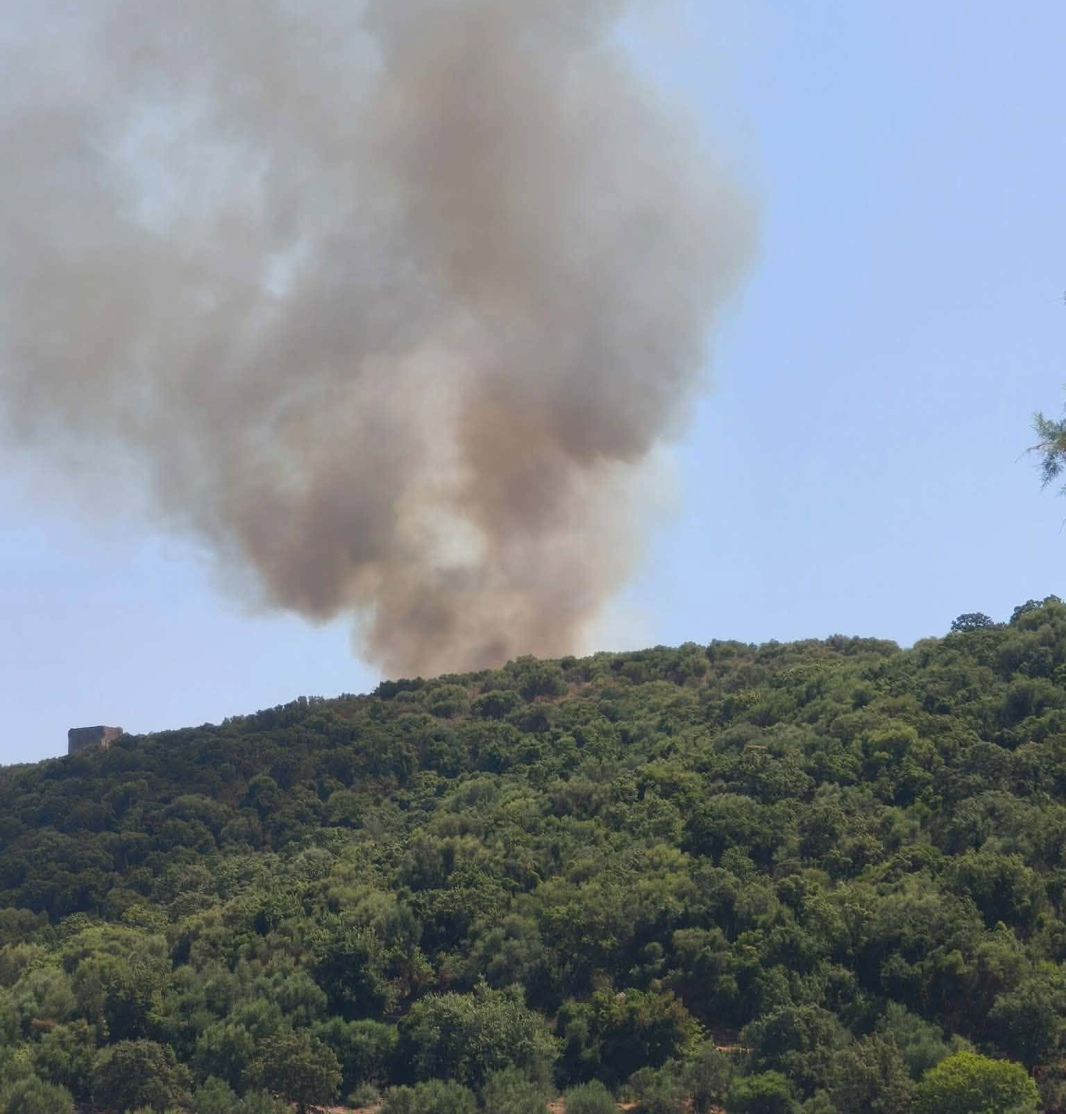 Πυρκαγιά σε δασική έκταση στον Αγερανό Λακωνίας Πυρκαγιά σε δασική έκταση στον Αγερανό Λακωνίας